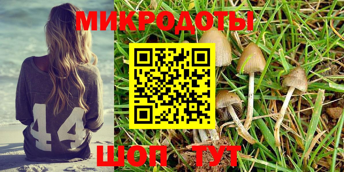 Псилоцибиновые грибы Magic Shrooms Ефремов